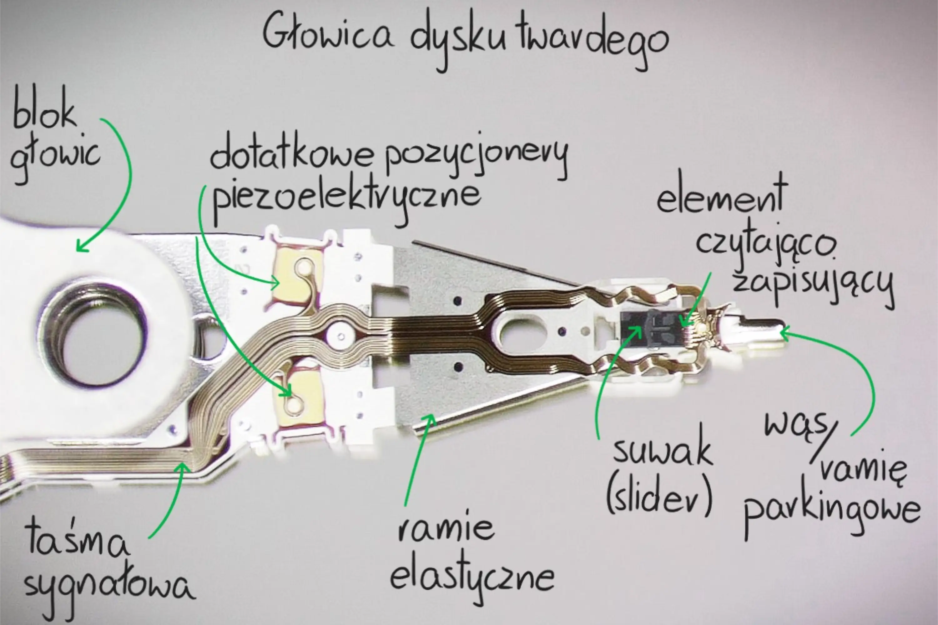 Głowica dysku twardego z pozycjonerem dwustopniowym